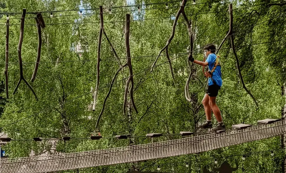 Park linowy Jelenia Góra – emocjonujące trasy i niezapomniane wrażenia