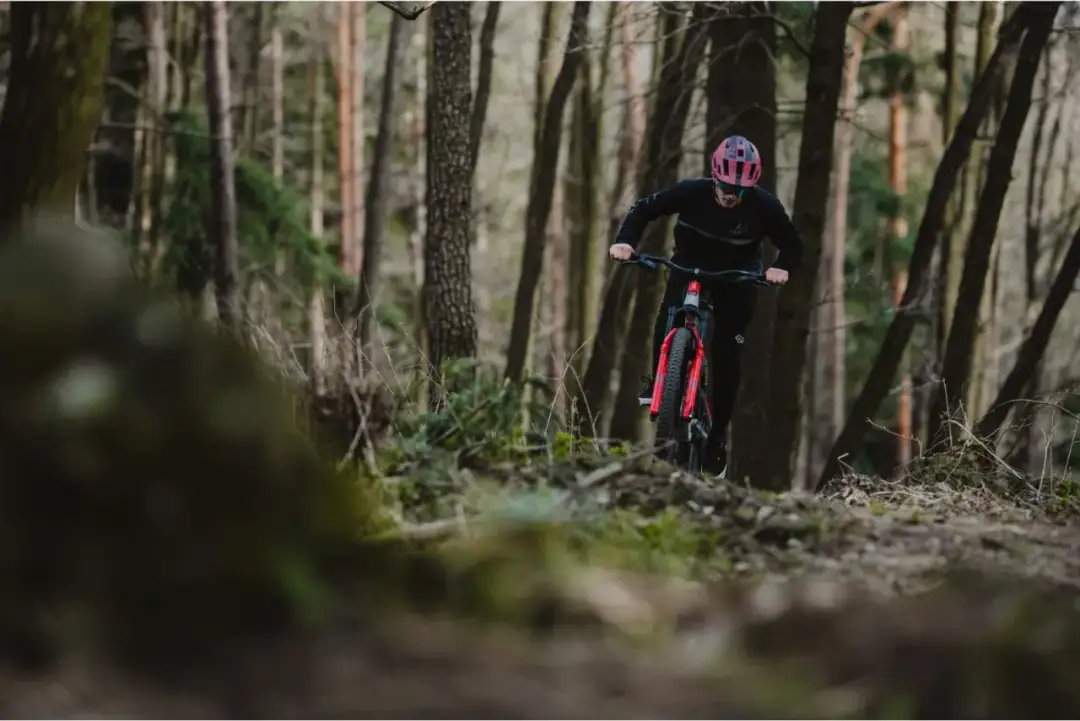 Najlepsze trasy rowerowe w Roztoczańskim Parku Narodowym – odkryj przygodę