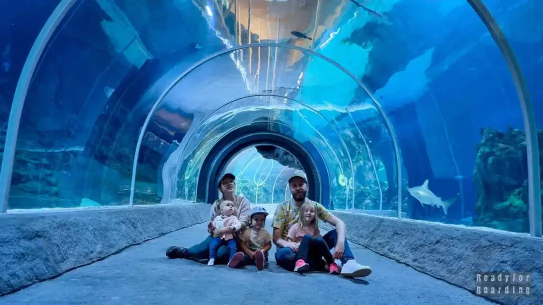 Orientarium Łódź: Opinie, Ceny, Czy Warto? Praktyczny Przewodnik