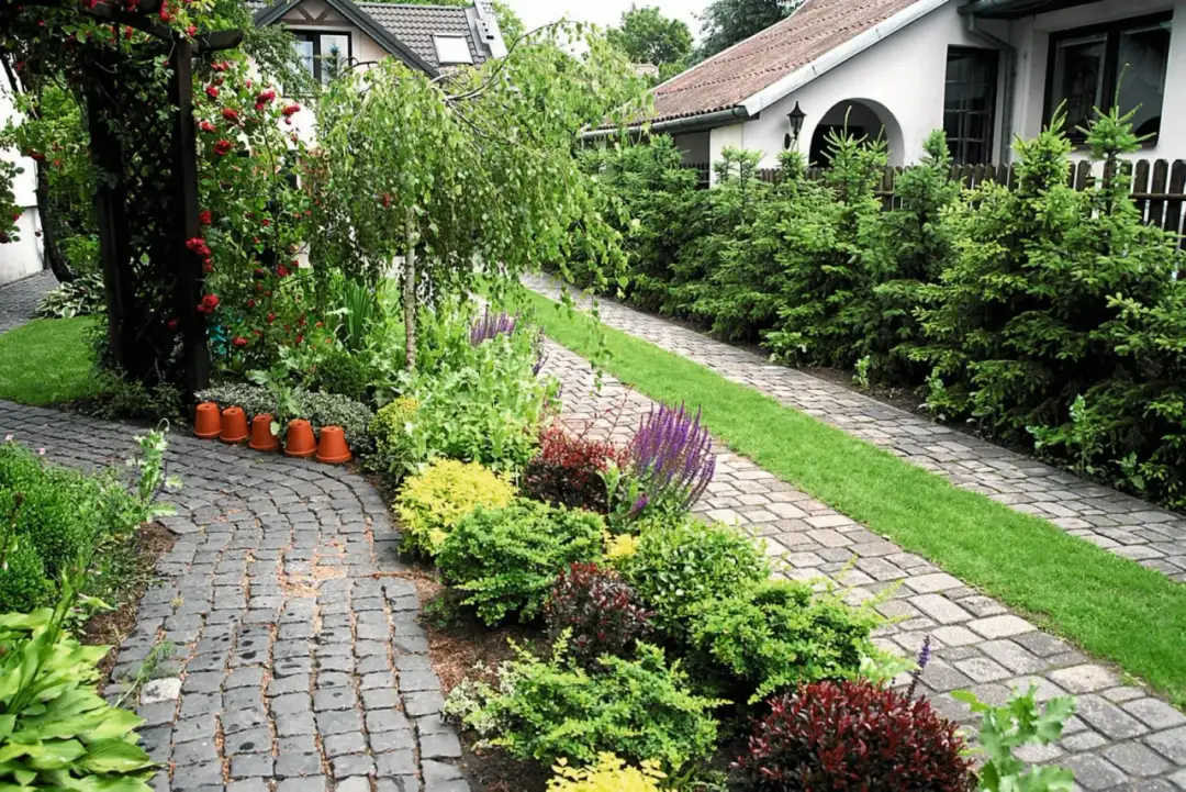 Jaką trawę na podjazd wybrać, aby uniknąć problemów z pielęgnacją?