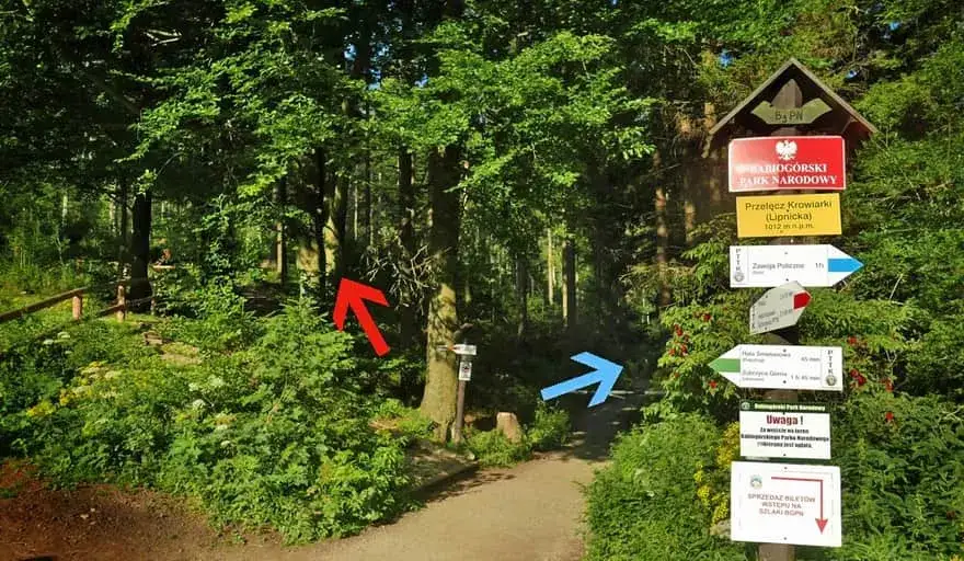 Babia Góra czerwony szlak: Ile km, ile czasu? Uniknij błędów!