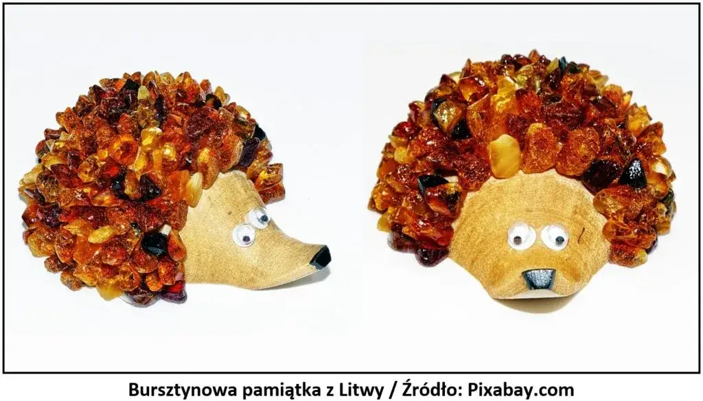 Co warto kupić na Litwie? Lista najlepszych produktów i praktyczne porady