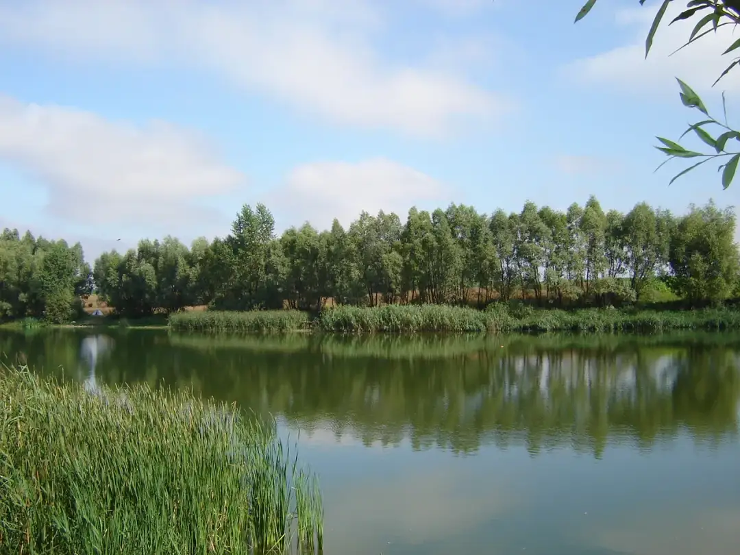 Łowisko Krzekotowo: najlepsze miejsce na wędkowanie bez stresu