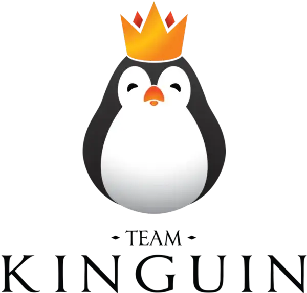 Team Kinguin: Wzloty i upadki polskiej legendy e-sportu