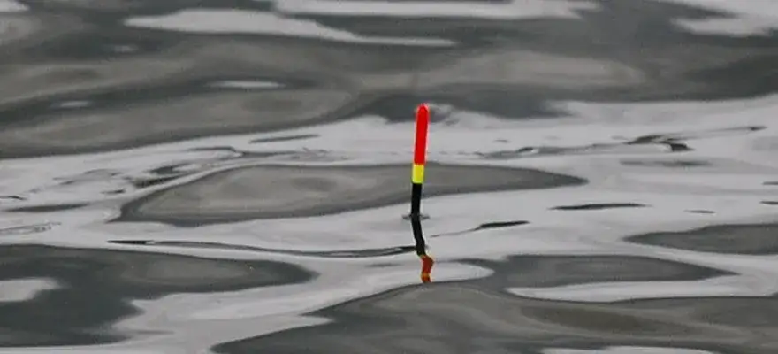 Jak wygruntować spławik, aby uniknąć najczęstszych błędów w wędkarstwie