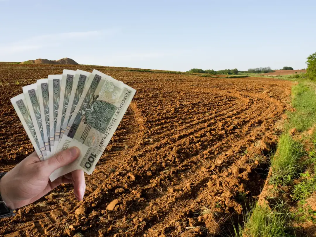 Dłoń trzyma banknoty 100 zł na tle zaoranego pola. Inwestycja w ziemię, ceny działek rolnych.