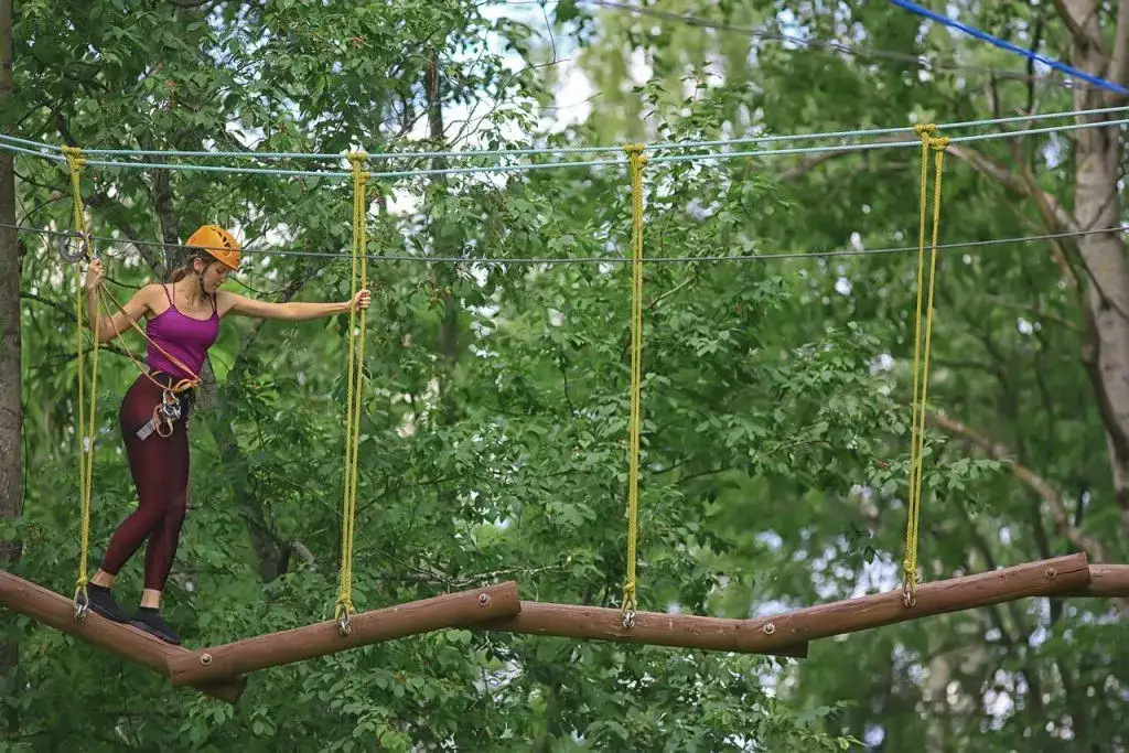 Park linowy w Domasławicach – atrakcje, trasy i ceny biletów