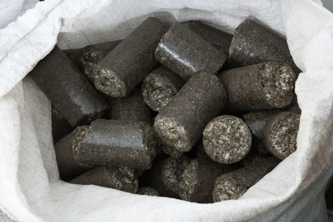 Brykiet czy węgiel? Sprawdź, co ogrzeje Twój dom taniej i ekologiczniej!