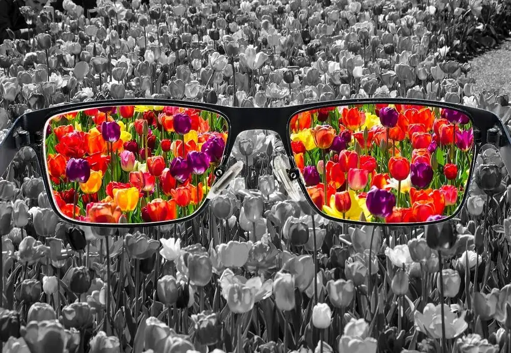 Z czego wynika daltonizm? Poznaj genetyczne i inne przyczyny