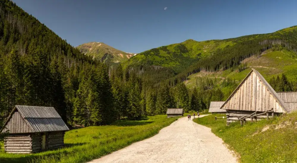 Kiedy powstał tatrzański park narodowy? Odkryj jego fascynującą historię