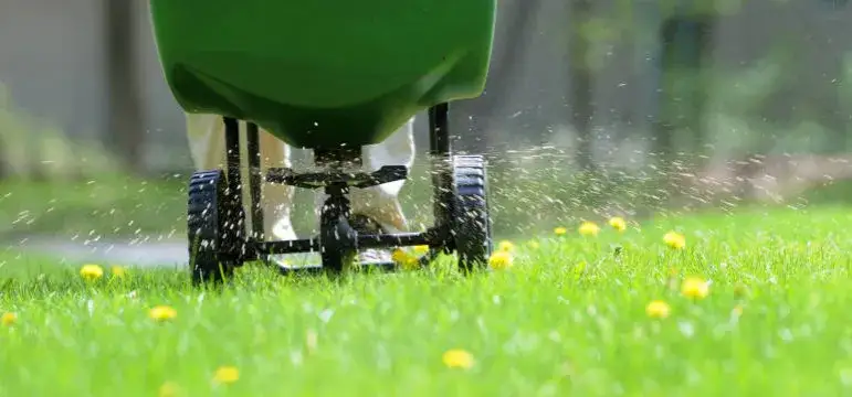  Siewnik do trawy i nawozu - jaki wybrać aby siać trawę szybko i skutecznie?