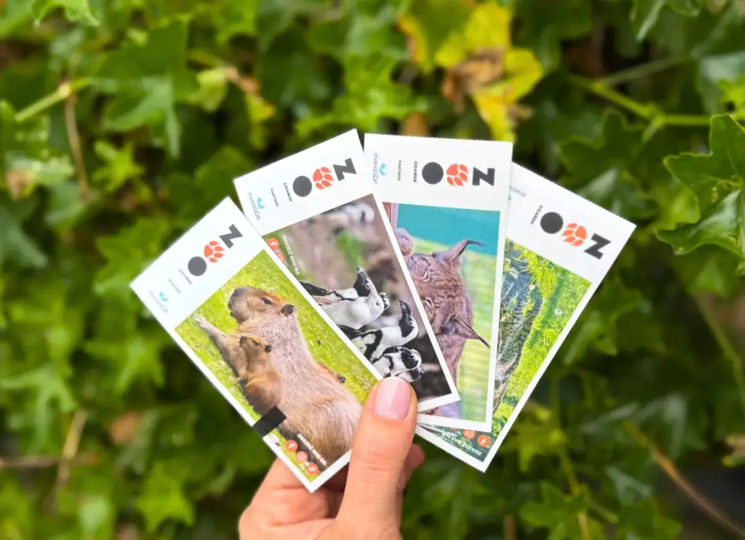 Zoo Gdańsk - godziny otwarcia, bilety i atrakcje dla zwiedzających