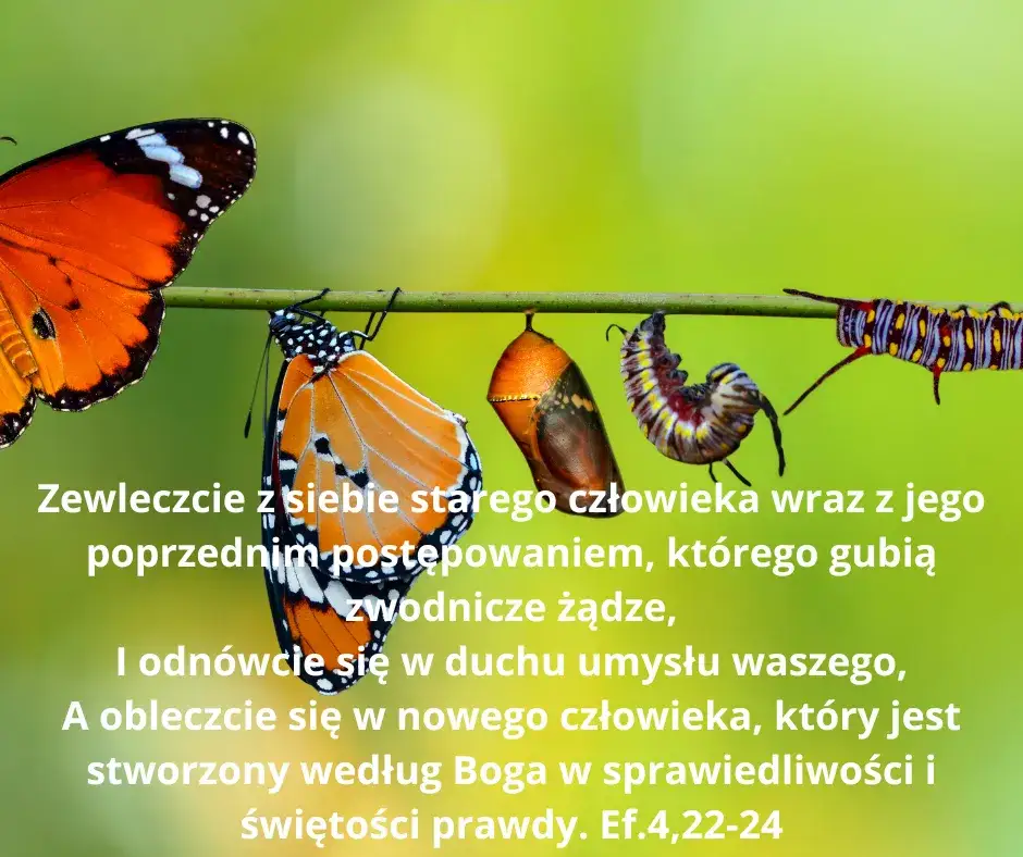 Jak mniej myśleć cytaty, które pomogą Ci osiągnąć spokój umysłu