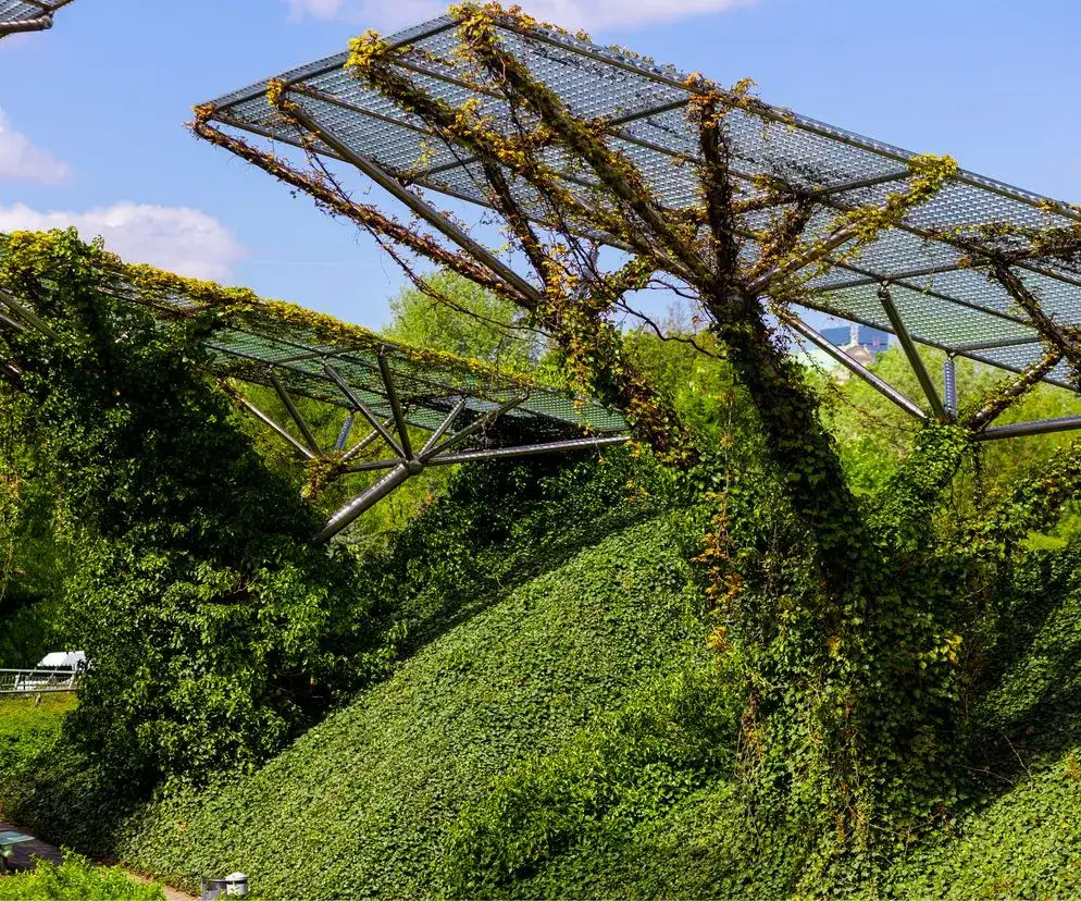 Jak zrobić trawę na dachu - uniknij najczęstszych błędów i kosztów