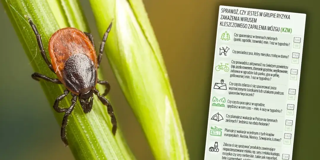 Kleszcz zabija? Poznaj realne ryzyko i skuteczną obronę