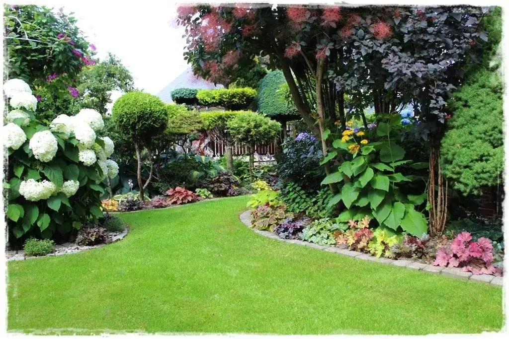 Mały ogródek DIY: Kreatywne pomysły za grosze bez wysiłku