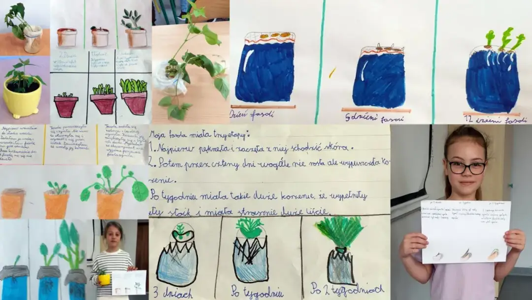 Eksperyment z fasolą: Jak przeprowadzić fascynujące doświadczenie dla dzieci