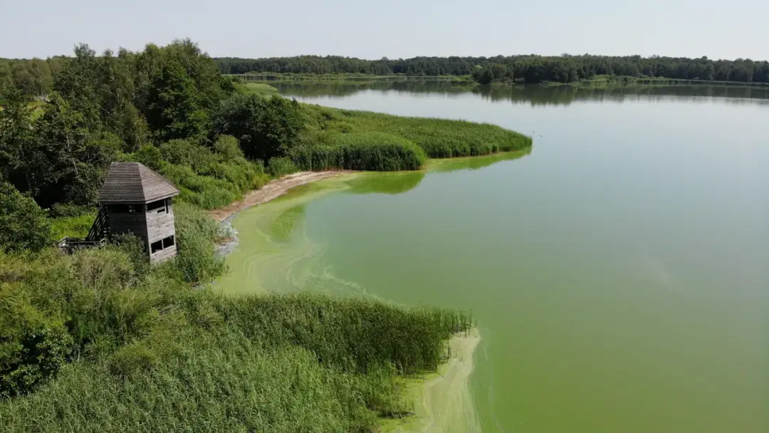 Najlepsze trasy rowerowe w Miliczu - odkryj ukryte skarby regionu