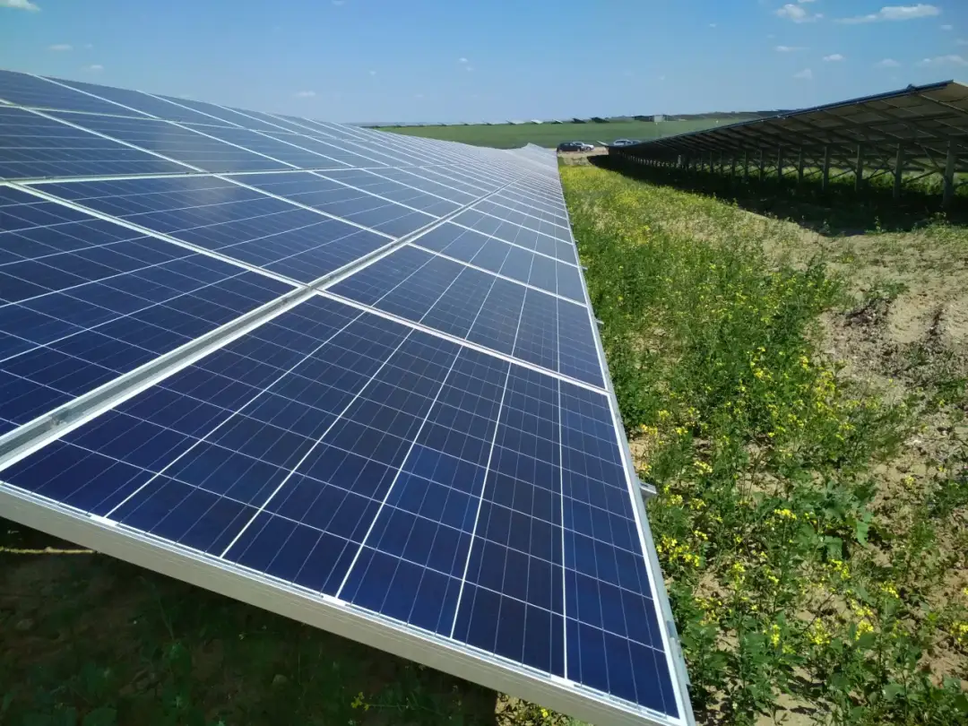 Elektrownia słoneczna Gubin: Od 1. farmy do 17 MWp. Zagłębie OZE?