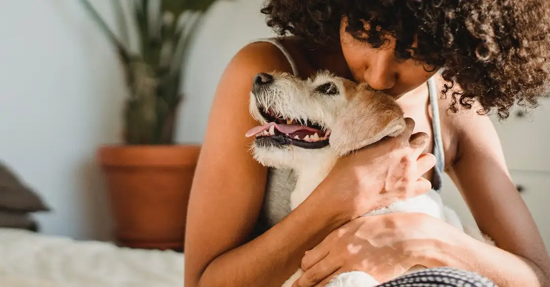  Legowisko wiklinowe dla psa - komfortowe i estetyczne miejsce dla Twojego pupila