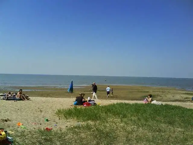 Najciekawsze atrakcje w Tolkmicku, które musisz zobaczyć