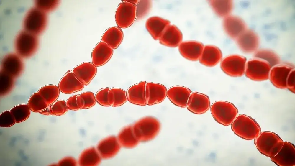 Jakie badania na paciorkowca? Sprawdź, jak uniknąć powikłań