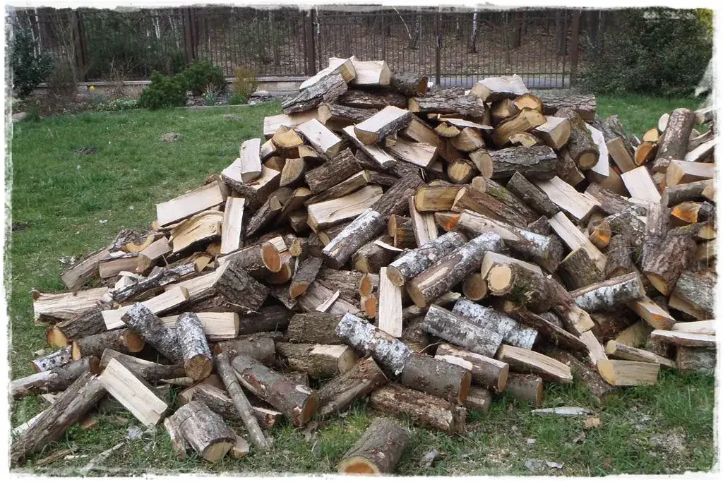 Ile drewna na ognisko? Poznaj idealną ilość na każdą okazję