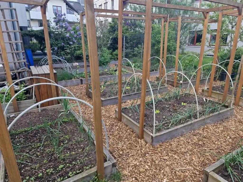 Czym ogrodzić ogródek warzywny, aby skutecznie chronić plony?