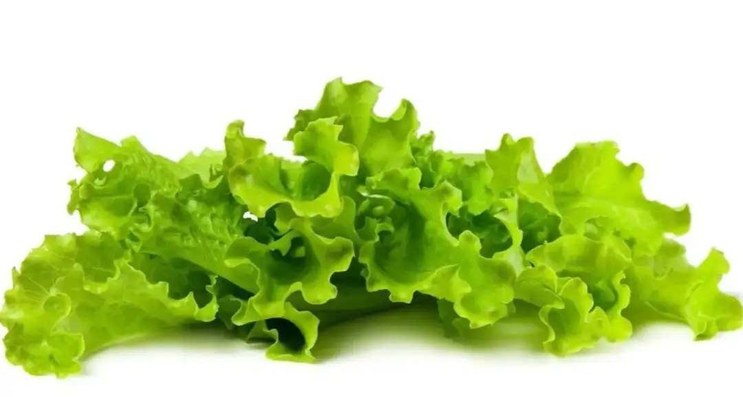 Dlaczego ważne jest zrobić to przed jedzeniem sałaty? Lekarka wyjaśnia