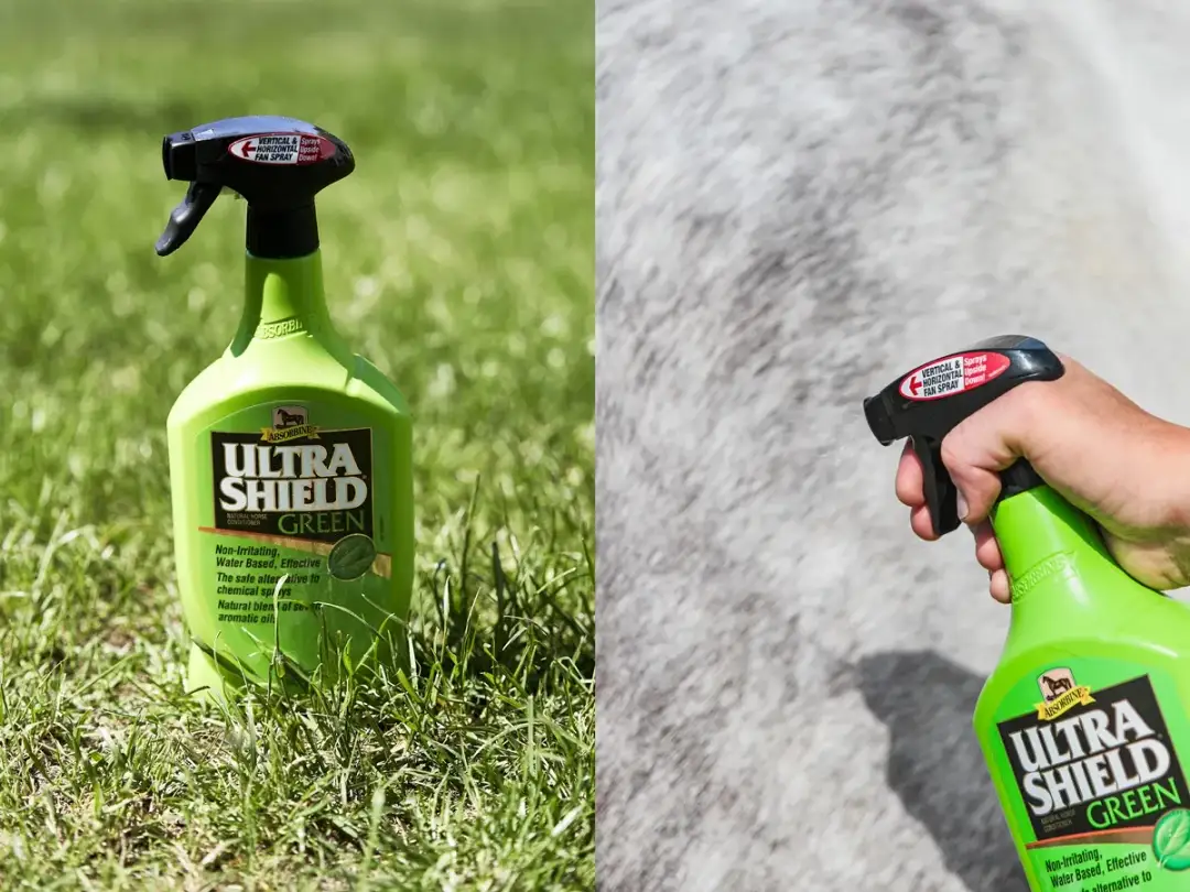 Absorbine dla koni: Jak wybrać najlepsze wsparcie dla Twojego wierzchowca?