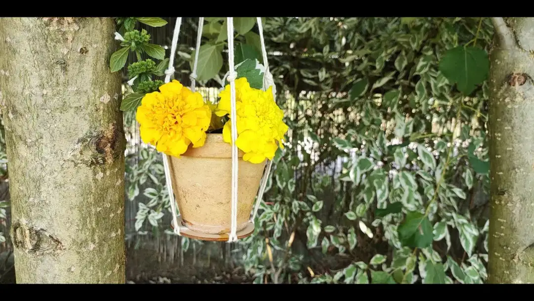 Jak zrobić kwietnik na działce: 8 prostych kroków + porady