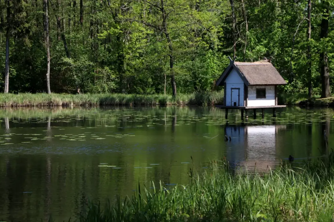 Najlepsze atrakcje w Spreewaldzie: co zobaczyć i jak zaplanować idealną wycieczkę