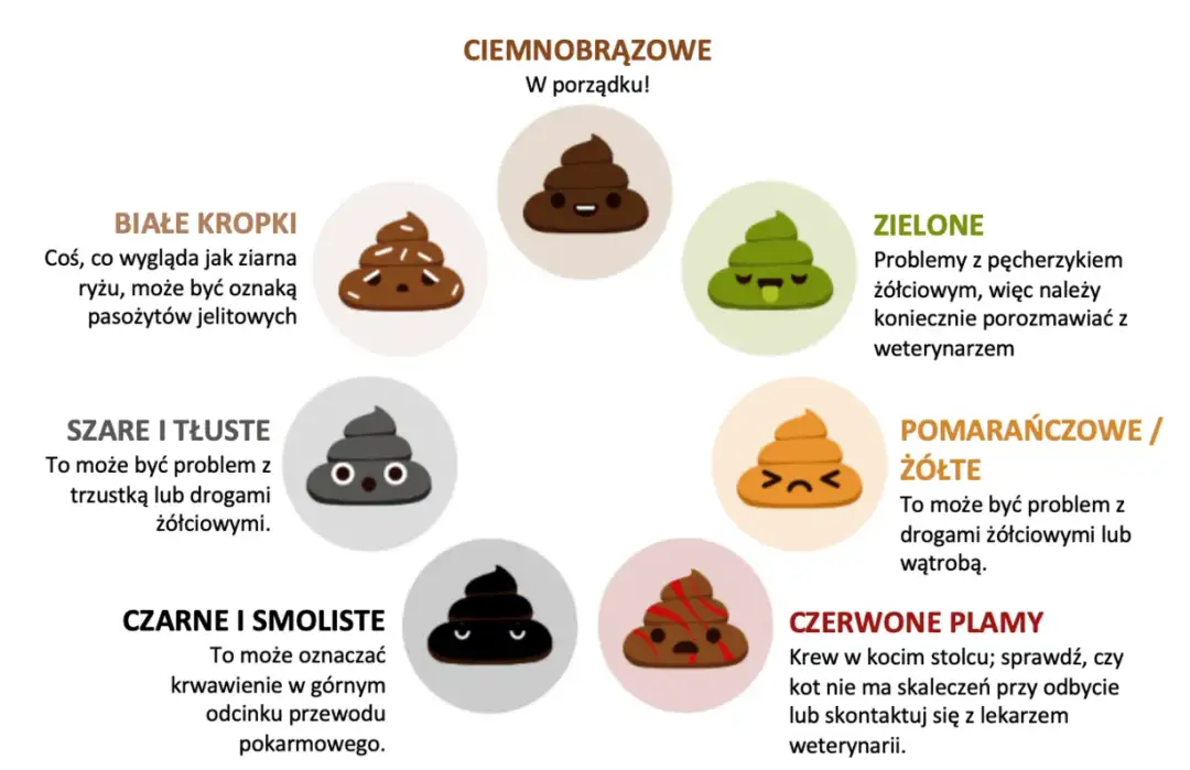 Jak rozpoznać różne rodzaje kupy u psa: Co oznacza jasna i ciemna kupa