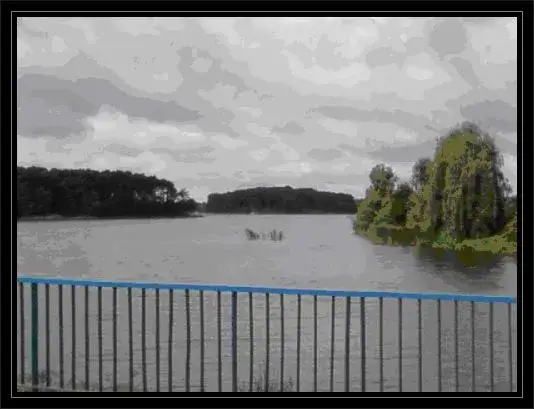 Łowisko Bogucin: Idealne miejsce na wędkarską przygodę bez stresu