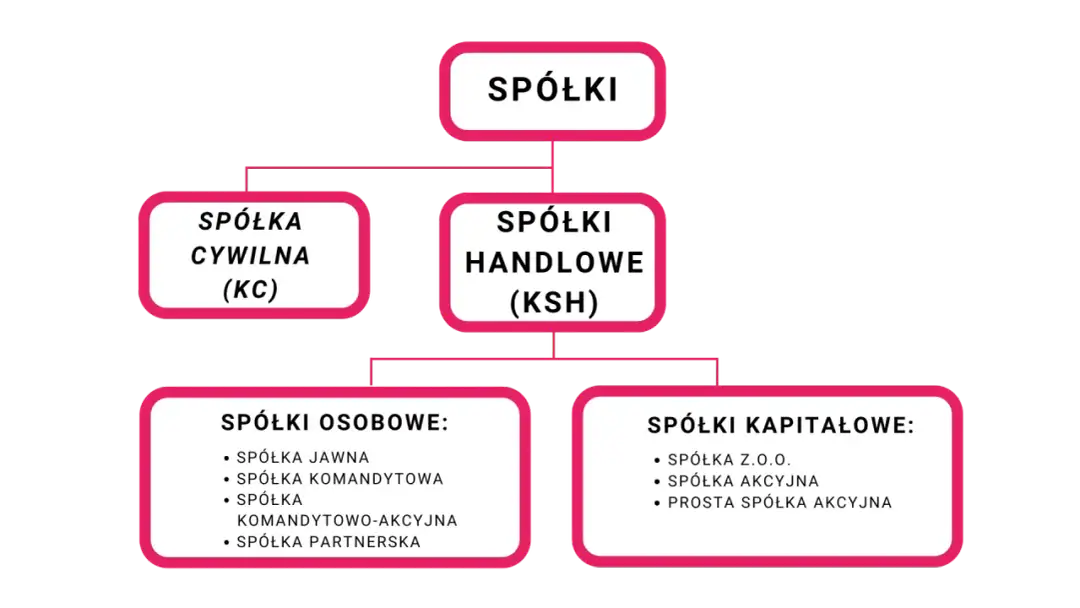 Jak działa spółka z o.o.? Kluczowe informacje o jej funkcjonowaniu