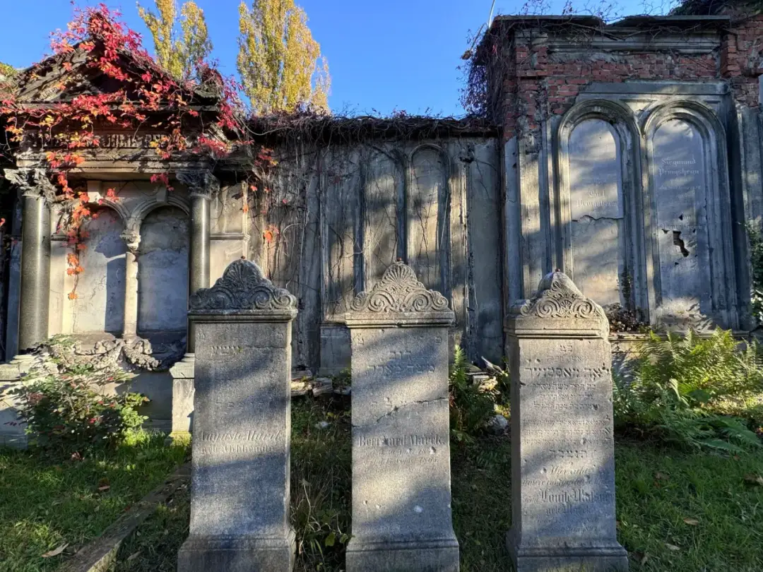 Muzeum sztuki cmentarnej we Wrocławiu: historia, eksponaty i zwiedzanie