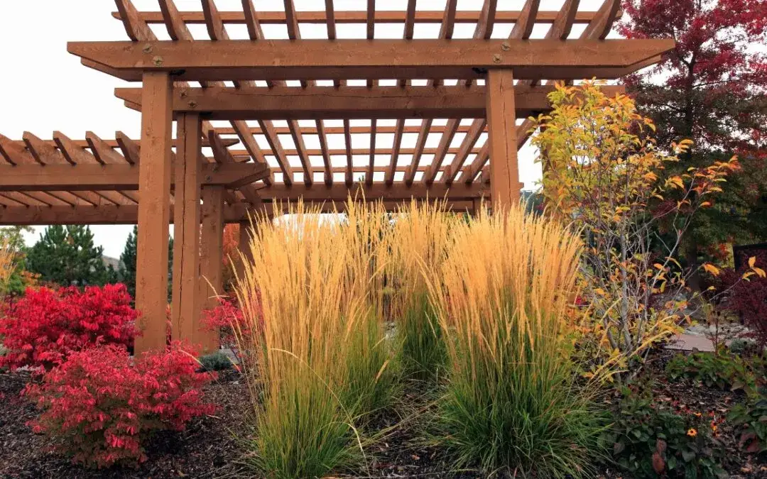 Jak wygląda pergola? Przykłady pięknych projektów i inspiracji