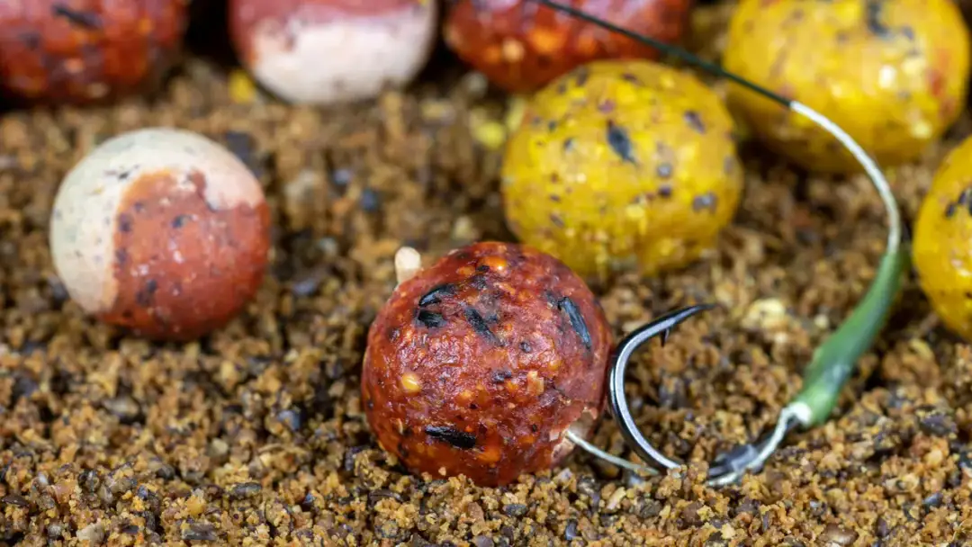 Jakie ryby przyciąga zapach czosnku i jak go skutecznie używać