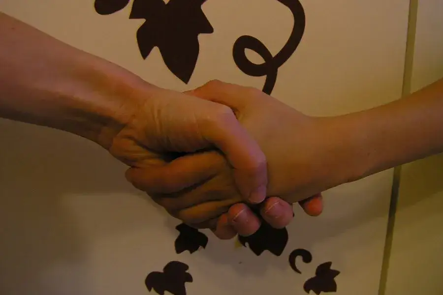 Metody pracy psychologa: sekrety skutecznej terapii