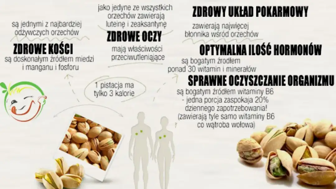 Czy pies może jeść pistacje? Poznaj ryzyko i bezpieczne alternatywy