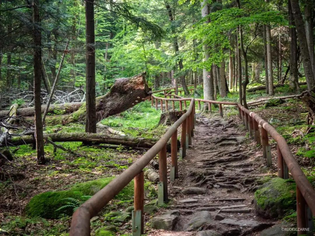 Odkryj Polskę na nowo: Nieznane perełki turystyczne poza szlakiem