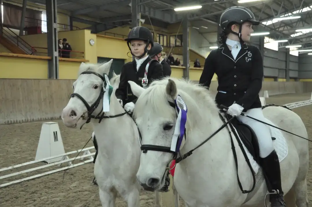 Gdzie zdać odznakę jeżdżę konno? Sprawdź najlepsze miejsca i wymagania