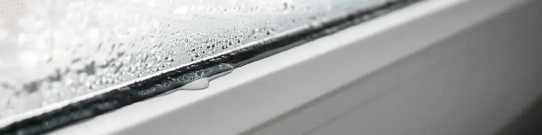 Dlaczego skraplają się okna? 5 przyczyn i skuteczne rozwiązania