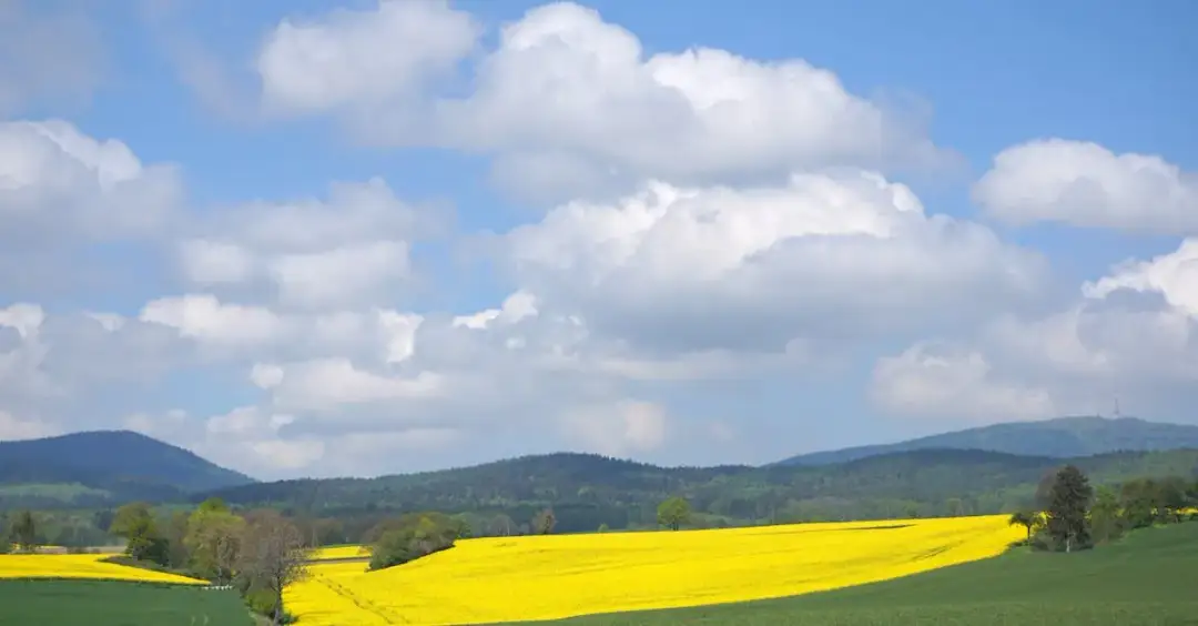 Która z 5 tras na Gęsią Szyję jest idealna dla rodzin z dziećmi?