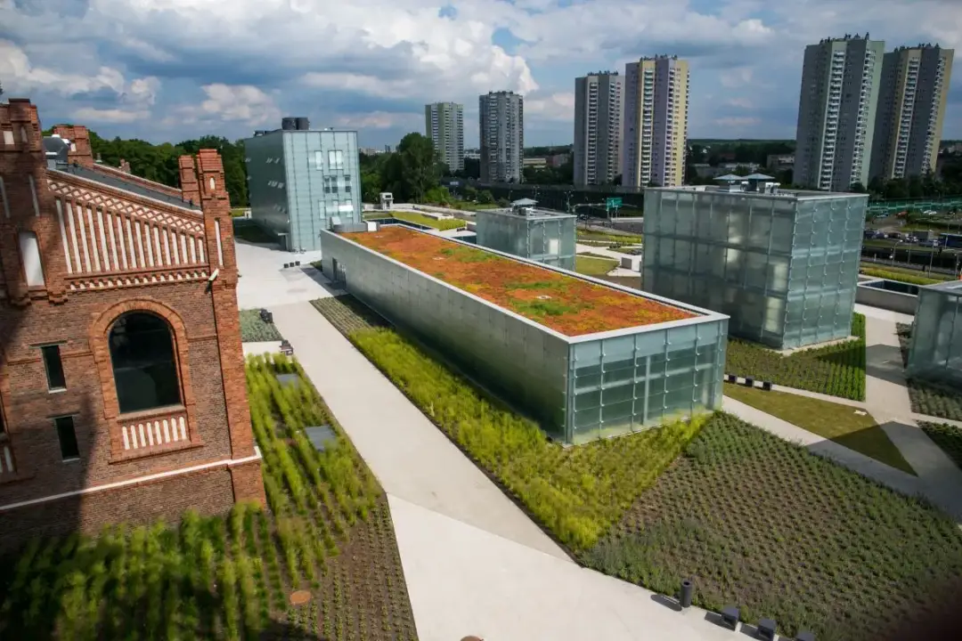 Najciekawsze muzea na Śląsku, które musisz zobaczyć – lista z atrakcjami dla każdego