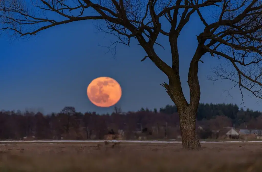 Jak zrobić zdjęcie księżyca: 5 sprawdzonych technik fotografowania nocą