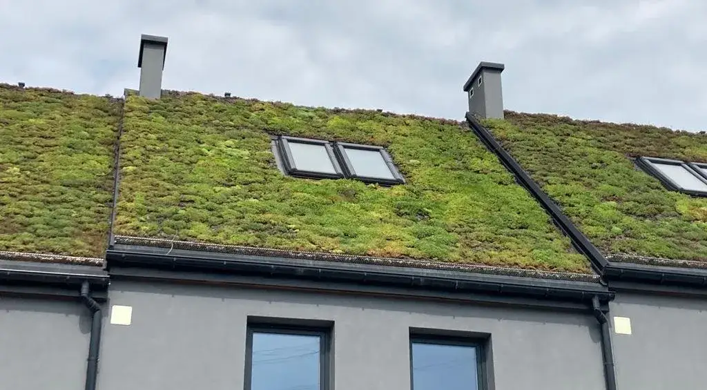 Zielone dachy: Nowoczesne rozwiązania w architekturze miejskiej