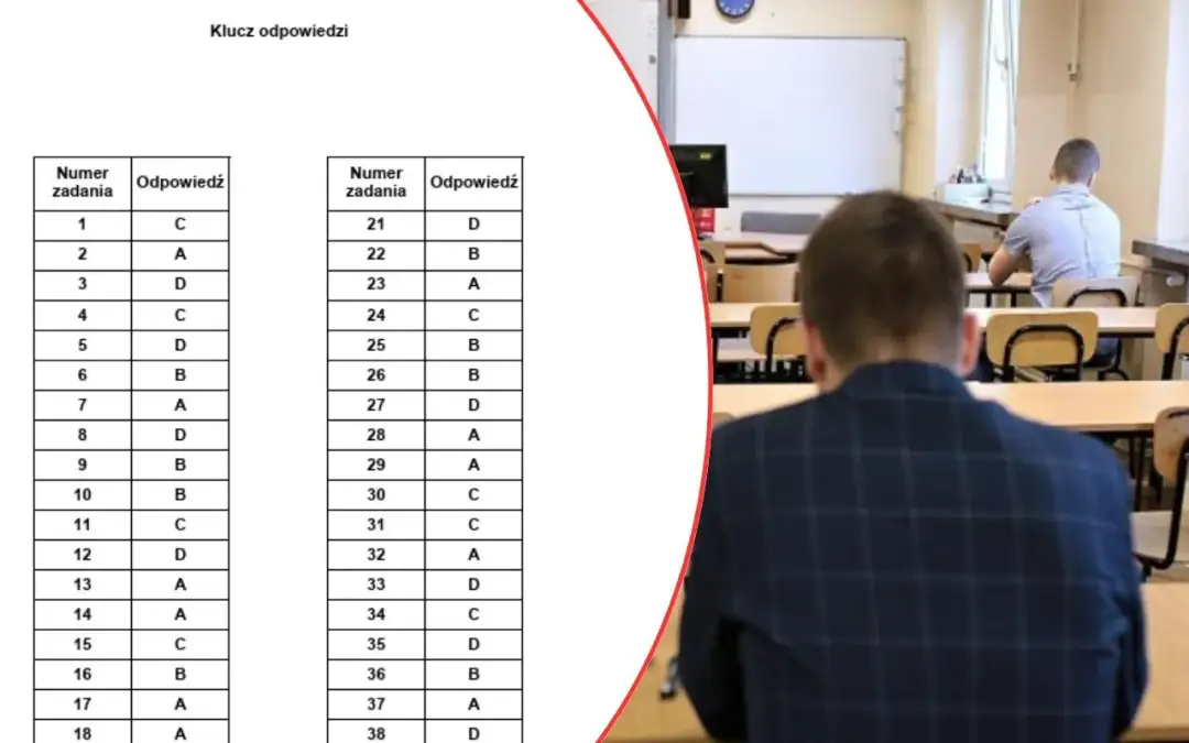 Egzamin zawodowy: Struktura, zdawalność i jak zdać?