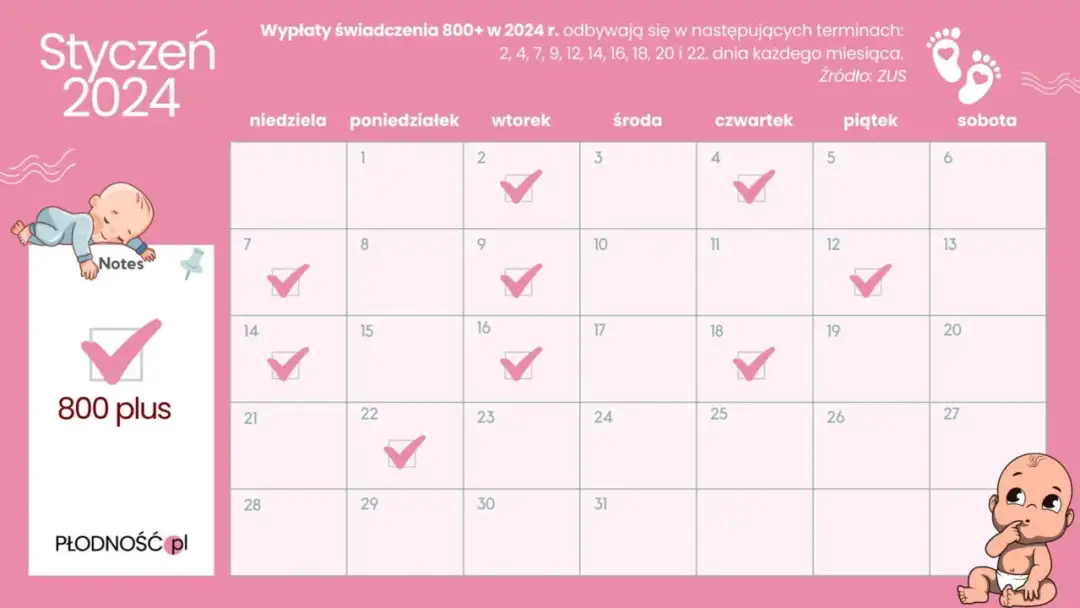 800 plus kiedy wypłata? Sprawdź daty i harmonogram ZUS!