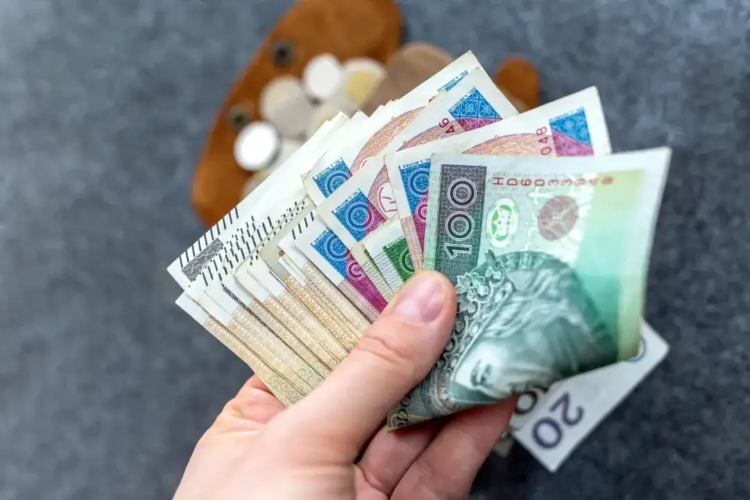 Jaka renta po 20 latach pracy? Sprawdź, ile naprawdę możesz otrzymać